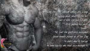 Nothing Special Promo 2